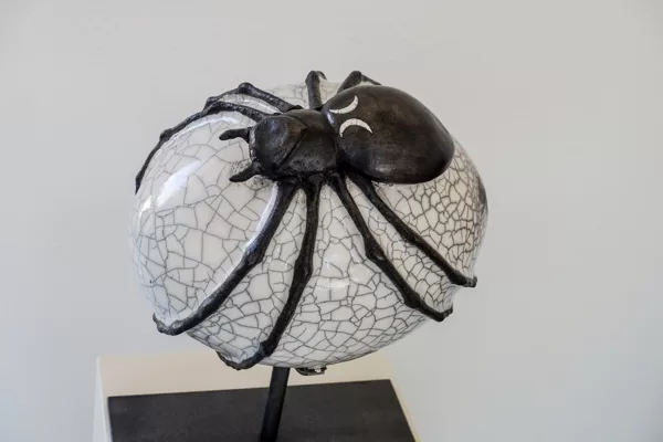 Insectes